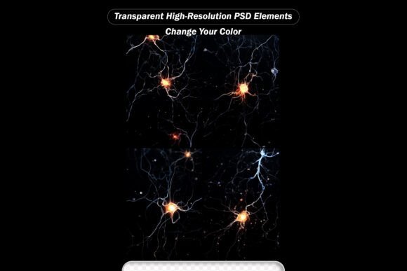 Neurons Cell Anatomy Brain Synapse
